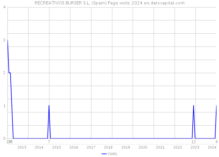 RECREATIVOS BURSER S.L. (Spain) Page visits 2024 