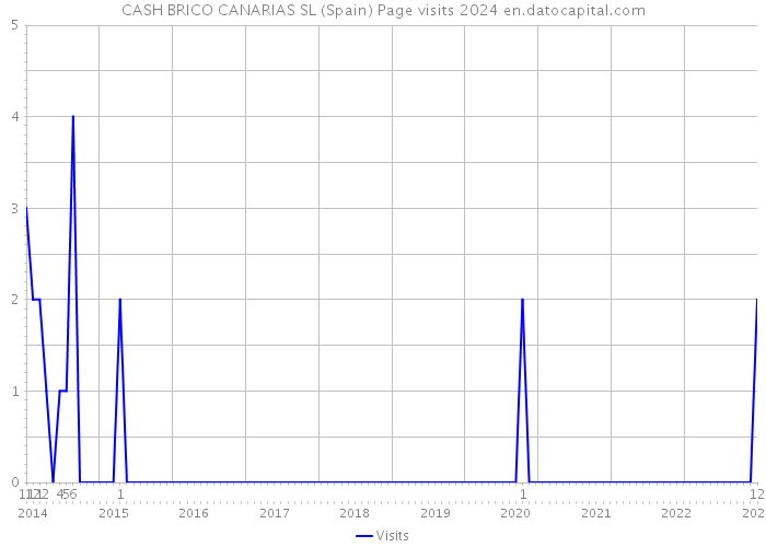 CASH BRICO CANARIAS SL (Spain) Page visits 2024 