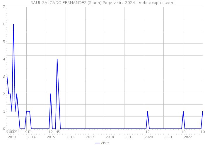 RAUL SALGADO FERNANDEZ (Spain) Page visits 2024 