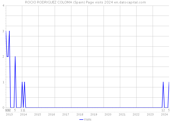 ROCIO RODRIGUEZ COLOMA (Spain) Page visits 2024 