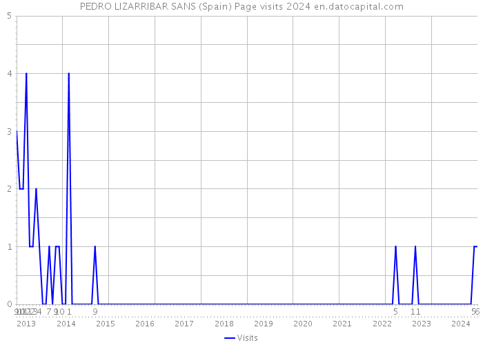 PEDRO LIZARRIBAR SANS (Spain) Page visits 2024 