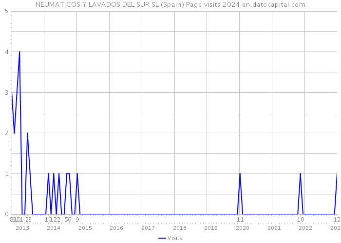 NEUMATICOS Y LAVADOS DEL SUR SL (Spain) Page visits 2024 