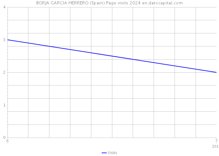 BORJA GARCIA HERRERO (Spain) Page visits 2024 