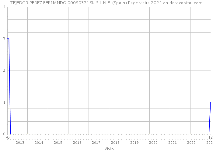 TEJEDOR PEREZ FERNANDO 000903716K S.L.N.E. (Spain) Page visits 2024 