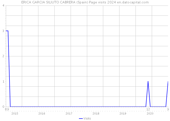 ERICA GARCIA SILIUTO CABRERA (Spain) Page visits 2024 