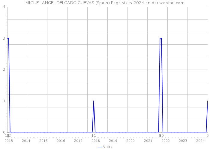 MIGUEL ANGEL DELGADO CUEVAS (Spain) Page visits 2024 