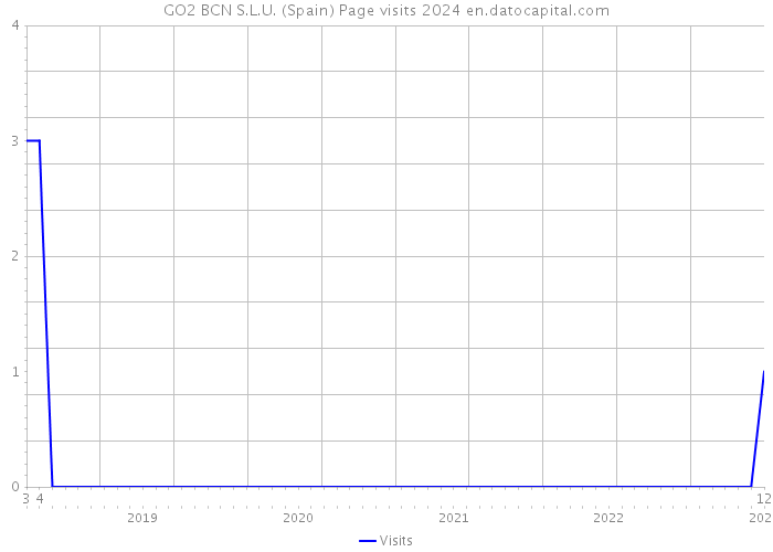 GO2 BCN S.L.U. (Spain) Page visits 2024 