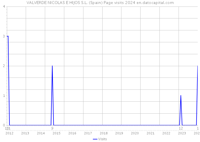 VALVERDE NICOLAS E HIJOS S.L. (Spain) Page visits 2024 