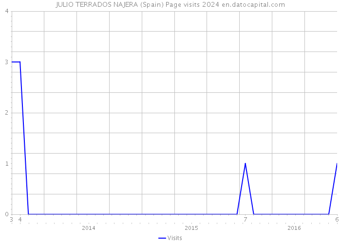 JULIO TERRADOS NAJERA (Spain) Page visits 2024 