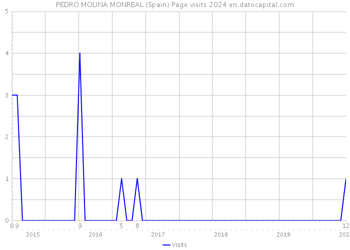 PEDRO MOLINA MONREAL (Spain) Page visits 2024 