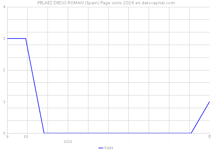 PELAEZ DIEGO ROMAN (Spain) Page visits 2024 