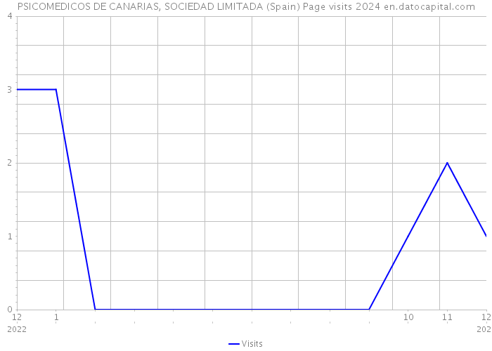 PSICOMEDICOS DE CANARIAS, SOCIEDAD LIMITADA (Spain) Page visits 2024 