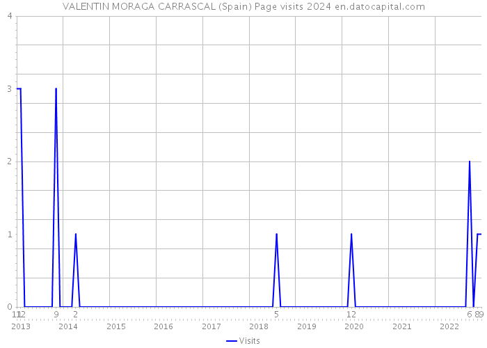 VALENTIN MORAGA CARRASCAL (Spain) Page visits 2024 