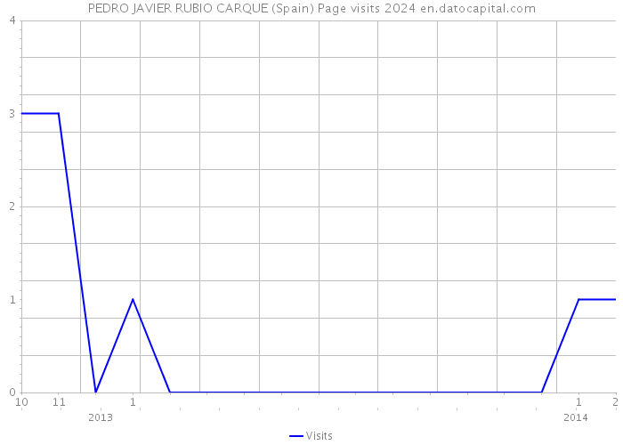 PEDRO JAVIER RUBIO CARQUE (Spain) Page visits 2024 