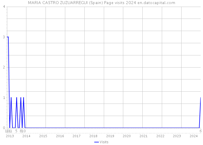 MARIA CASTRO ZUZUARREGUI (Spain) Page visits 2024 