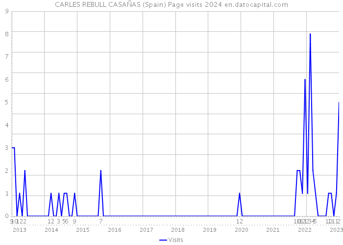 CARLES REBULL CASAÑAS (Spain) Page visits 2024 