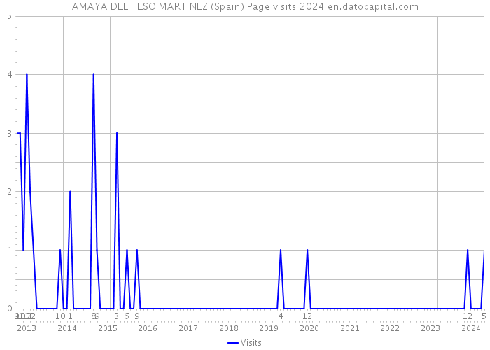 AMAYA DEL TESO MARTINEZ (Spain) Page visits 2024 