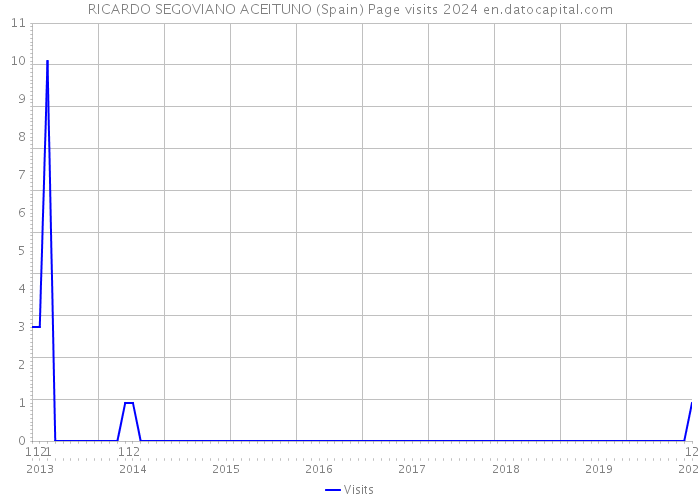 RICARDO SEGOVIANO ACEITUNO (Spain) Page visits 2024 