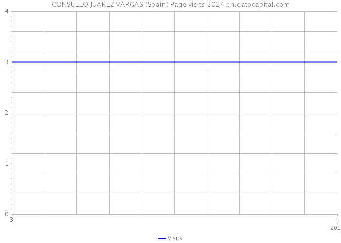 CONSUELO JUAREZ VARGAS (Spain) Page visits 2024 