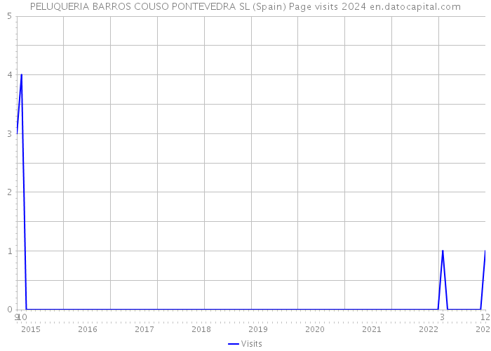 PELUQUERIA BARROS COUSO PONTEVEDRA SL (Spain) Page visits 2024 