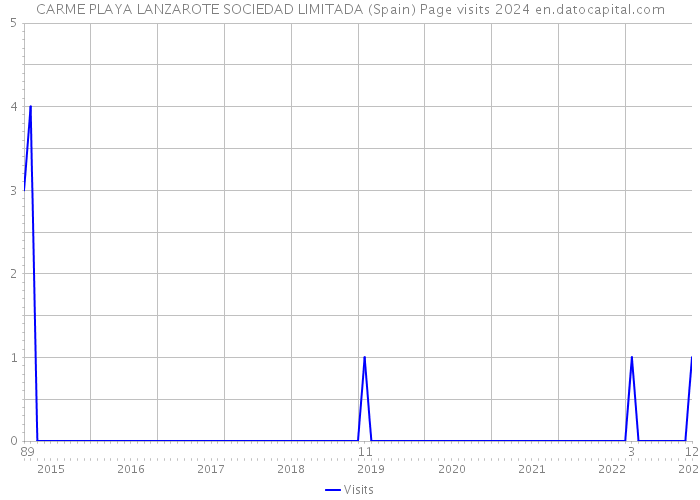 CARME PLAYA LANZAROTE SOCIEDAD LIMITADA (Spain) Page visits 2024 