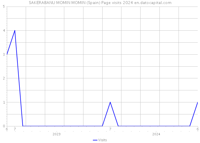 SAKERABANU MOMIN MOMIN (Spain) Page visits 2024 