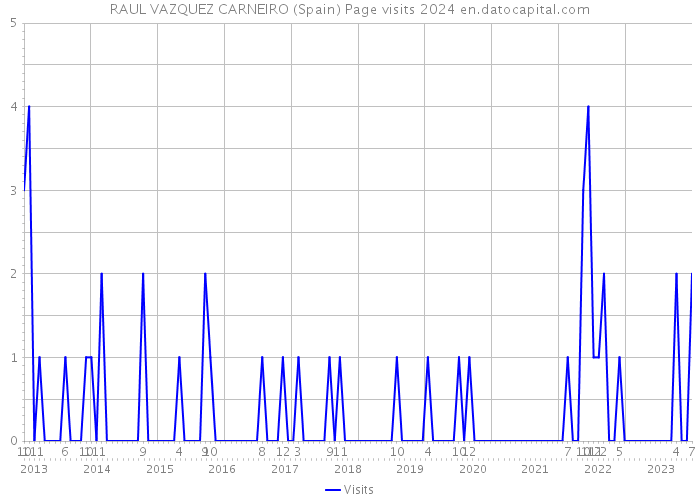 RAUL VAZQUEZ CARNEIRO (Spain) Page visits 2024 