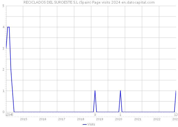 RECICLADOS DEL SUROESTE S.L (Spain) Page visits 2024 