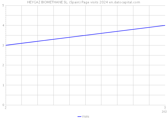 HEYGAZ BIOMETHANE SL. (Spain) Page visits 2024 