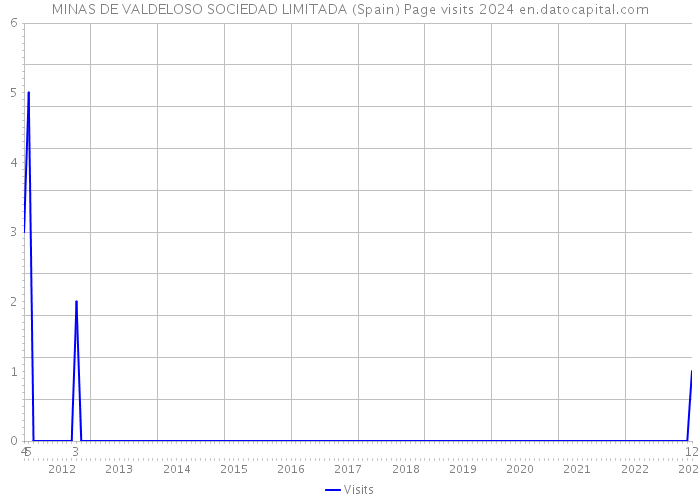 MINAS DE VALDELOSO SOCIEDAD LIMITADA (Spain) Page visits 2024 