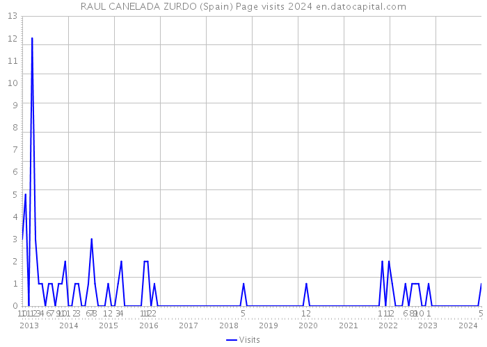 RAUL CANELADA ZURDO (Spain) Page visits 2024 