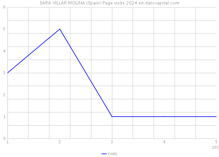 SARA VILLAR MOLINA (Spain) Page visits 2024 
