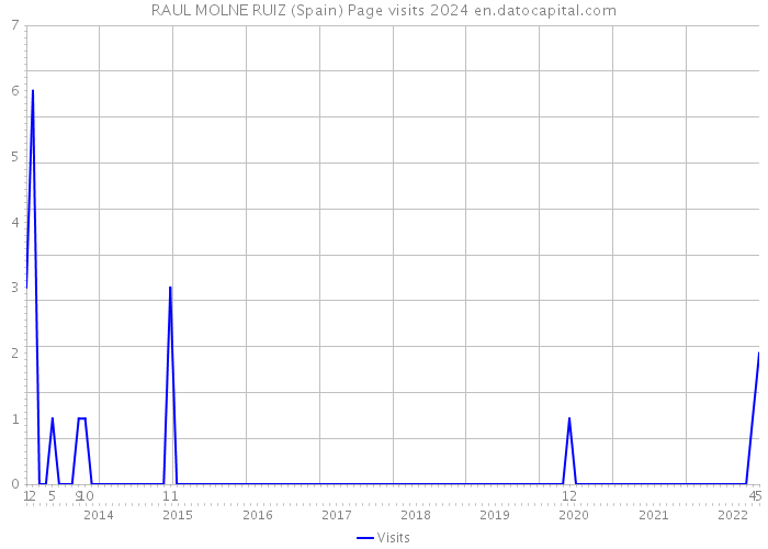 RAUL MOLNE RUIZ (Spain) Page visits 2024 