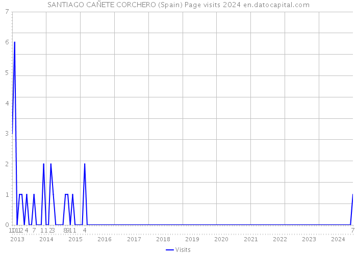 SANTIAGO CAÑETE CORCHERO (Spain) Page visits 2024 