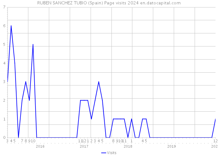 RUBEN SANCHEZ TUBIO (Spain) Page visits 2024 