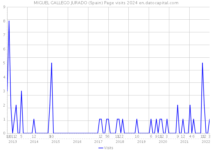 MIGUEL GALLEGO JURADO (Spain) Page visits 2024 