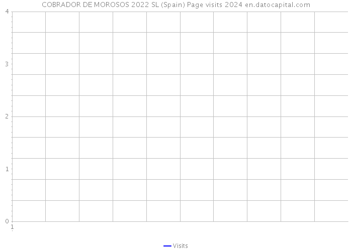 COBRADOR DE MOROSOS 2022 SL (Spain) Page visits 2024 