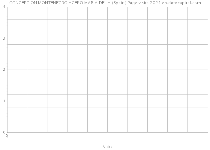 CONCEPCION MONTENEGRO ACERO MARIA DE LA (Spain) Page visits 2024 