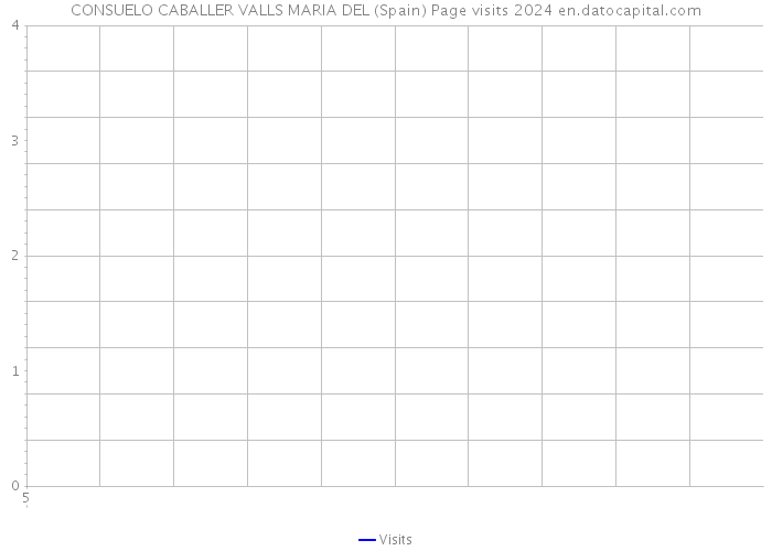 CONSUELO CABALLER VALLS MARIA DEL (Spain) Page visits 2024 