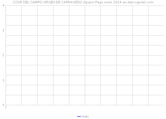 COOP DEL CAMPO VIRGEN DE CARRAVIESO (Spain) Page visits 2024 