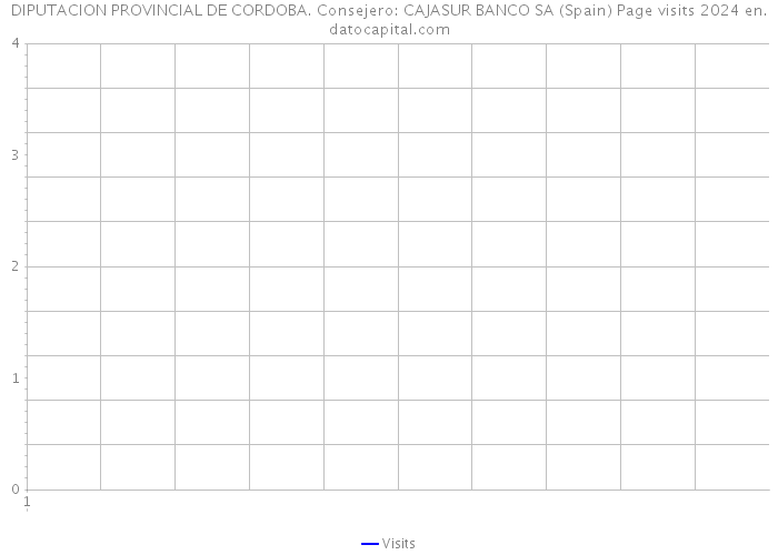 DIPUTACION PROVINCIAL DE CORDOBA. Consejero: CAJASUR BANCO SA (Spain) Page visits 2024 