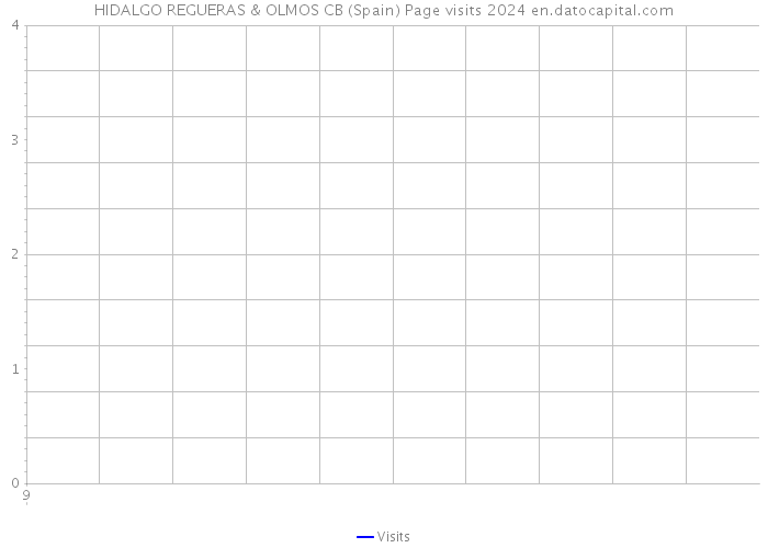 HIDALGO REGUERAS & OLMOS CB (Spain) Page visits 2024 