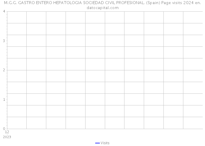 M.G.G. GASTRO ENTERO HEPATOLOGIA SOCIEDAD CIVIL PROFESIONAL. (Spain) Page visits 2024 