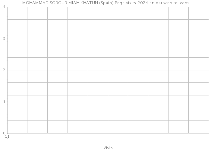 MOHAMMAD SOROUR MIAH KHATUN (Spain) Page visits 2024 