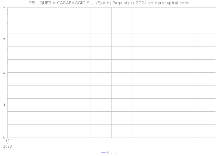 PELUQUERIA CARABAGGIO SLL. (Spain) Page visits 2024 