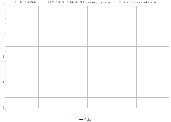 ROCIO NAVARRETE CORONADO MARIA DEL (Spain) Page visits 2024 