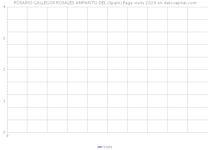 ROSARIO GALLEGOS ROSALES AMPARITO DEL (Spain) Page visits 2024 