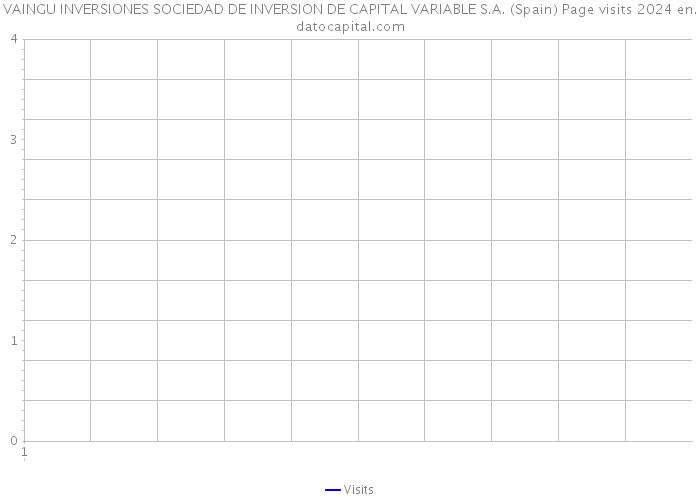 VAINGU INVERSIONES SOCIEDAD DE INVERSION DE CAPITAL VARIABLE S.A. (Spain) Page visits 2024 