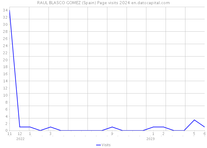 RAUL BLASCO GOMEZ (Spain) Page visits 2024 