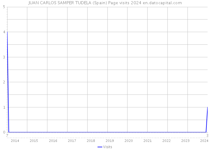 JUAN CARLOS SAMPER TUDELA (Spain) Page visits 2024 